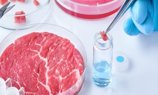 Лабораторный анализ пищевых продуктов по СанПиН в Ханты-Мансийске в октябре